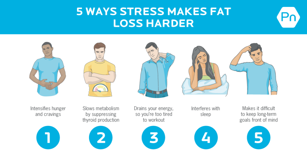 The Impact of Stress on Weight Loss and Muscle Building