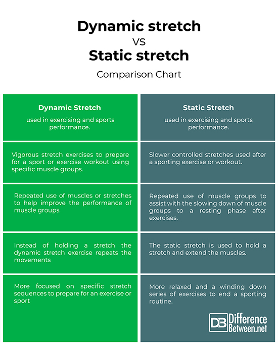Understanding the Difference between Dynamic and Static Stretching