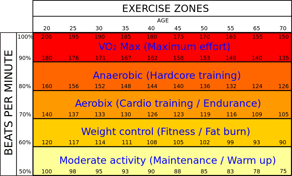 Understanding the Importance of Monitoring Heart Rate During Cardio Exercises