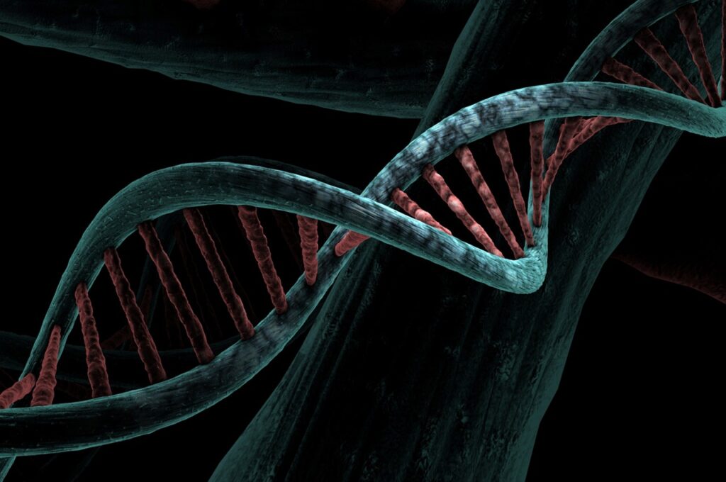 Understanding the Role of Genetics in Fitness and Body Composition